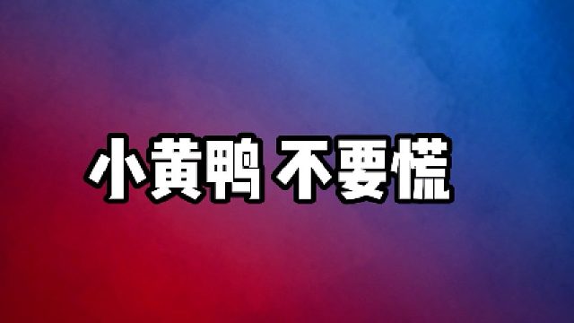 【阿瓦隆】小黄鸭 不要慌