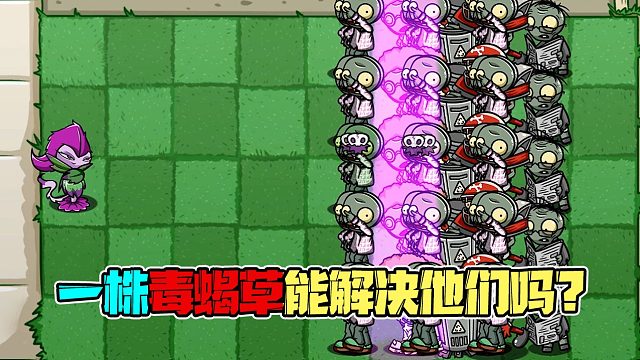 植物大战僵尸：毒蝎草的爆炸伤害究竟有多强？看完你就知道啦！