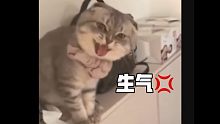 “ 我！最！討！厭！你！了！”