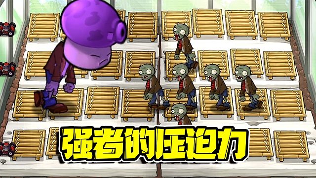 植物大战僵尸：大喷菇僵尸打破记录！这便是强者带来的压迫感吗！