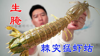 生腌特大棘突猛蝦蛄，比手臂還粗還長，生腌界的天花板