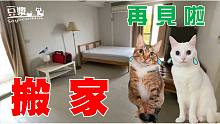【豆?jié){ - SoybeanMilk】 搬家！　再見了，鴿子