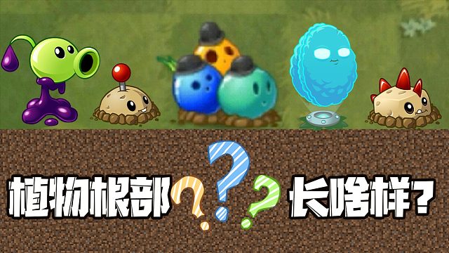 植物大战僵尸：植物在地底下的样子是什么呢？大嘴：长见识了！