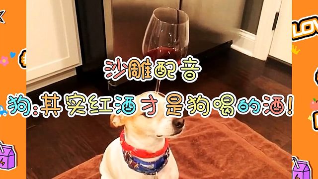 沙雕配音 狗：其实红酒才是咱狗喝的酒！