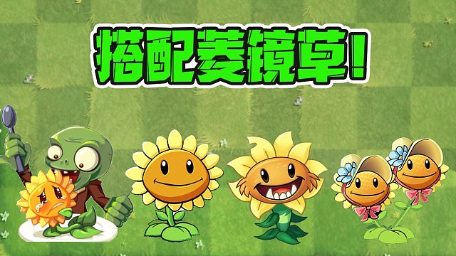 植物大战僵尸：不同的向日葵搭配菱镜草？结果令人意想不到！
