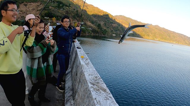 车坏在桥上无心钓鱼，一旁的钓友接连上大翘嘴，这不是欺负人嘛