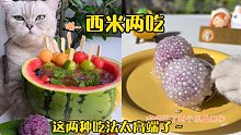 貓王：保溫杯里煮西米，這兩種高端吃法趕緊get~