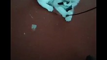阿Q