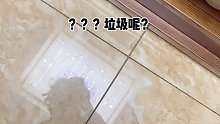 所以這是一只小貓咪應(yīng)該有的操作？！