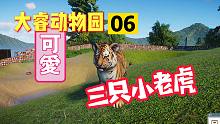 动物园之星06：三只小老虎，你受得了吗？