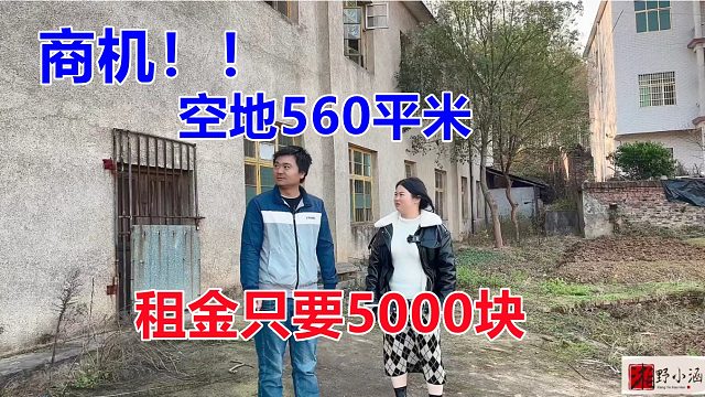 发现一个好空地，面积达560平米，租金只要5000块，拿来养殖赚翻！