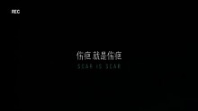 伤疤就是伤疤