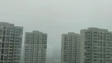 冷雨夜