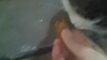 小貓第一次吃肉干！吃完直接饞哭！