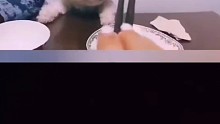 急死個(gè)人！