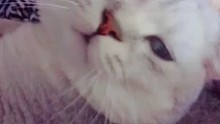 冬天暖腳神器