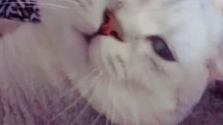 冬天暖腳神器