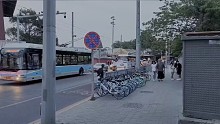 花有重開之日，可已經(jīng)不是曾經(jīng)的花了~
