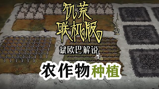 饥荒联机版丨4#农作物种植
