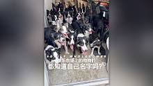 快樂農(nóng)場上的狗狗們都知道自己名字嗎？