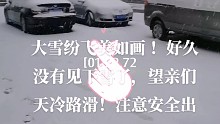 大雪纷飞，瑞雪兆丰年！快乐每一天……