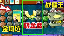 植物大战僵尸：吸金菇对战3个僵王！金坷垃前来助阵！吓坏僵王！