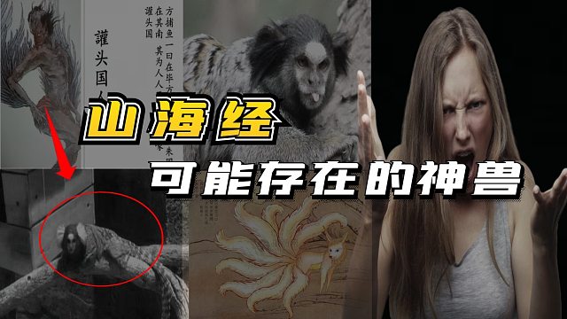 山海經(jīng)里的可能真實存在的異獸