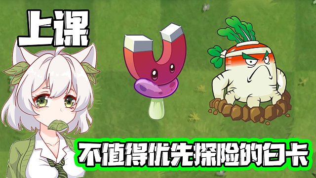 植物大战僵尸：上课！不值得优先探险的白卡！不听课悔一生！