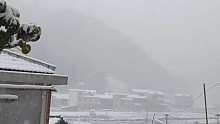好久没回到家。一回来就大雪纷飞
