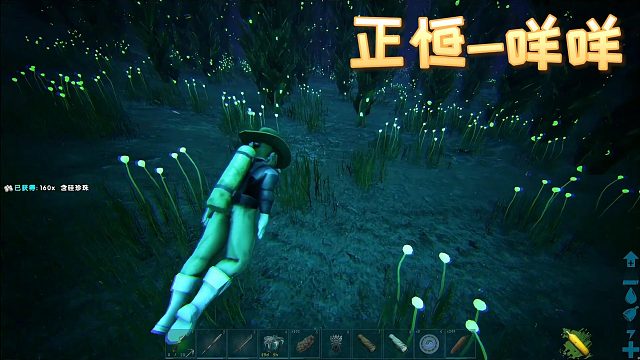 这服主有点意思，很会玩