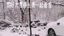美丽的雪