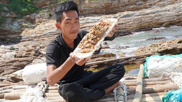 前往无人荒岛生活，早上炸鱼晚上煮鱼，感觉好奢侈！