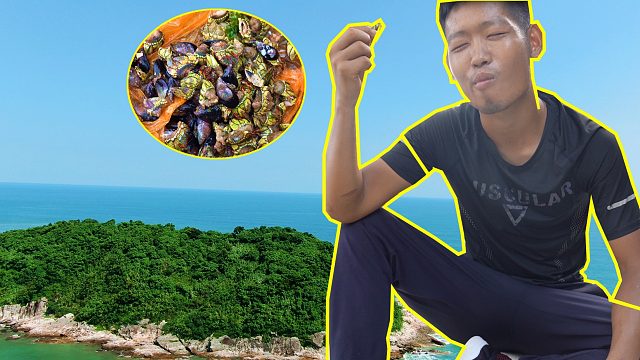 荒岛生活第四集：数百块一斤的螺没人弄，煮着吃感觉好舒服