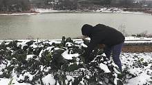 农村下大雪，看看老百姓都吃些什么
