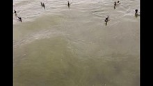 隨便玩玩
