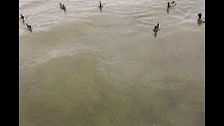 隨便玩玩