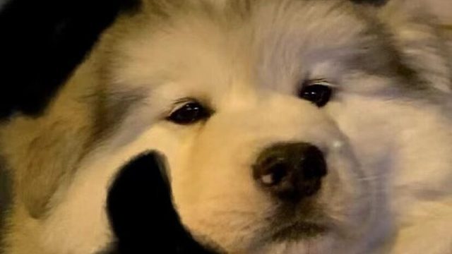 重生之遥宝在聚窟洲送快递