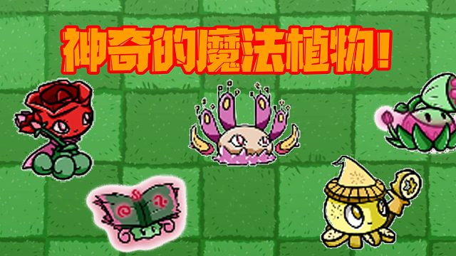 植物大战僵尸：BT版的魔法植物谁最厉害？小鬼头：组合最厉害！