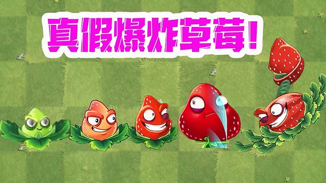 植物大战僵尸：单颗植物和叠加植物的区别？爆炸草莓yyds！