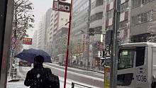 东京的第一场雪