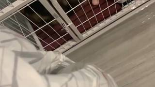 臨時請假主要是因為我家貓差點把我送走