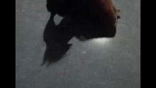 乡村小趣
