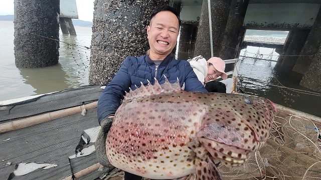 十天前放下笼子捕到价值千元大石斑，小明拿回家跟好友换昂贵洋酒