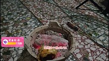 烤鸡蛋打脸+社死现场