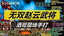 一统中原无双版B赵云双武将一命