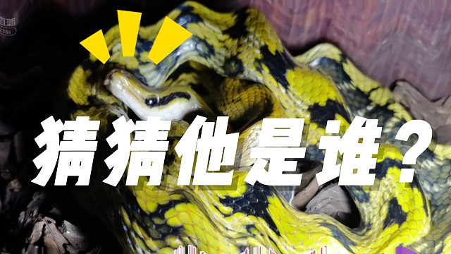 奇怪的知识增加了