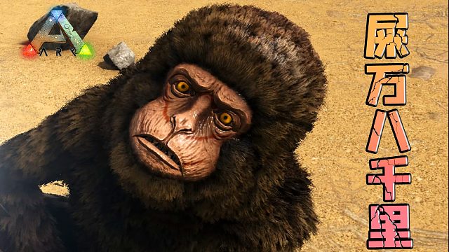 方舟生存进化：中猴！有屎以来最胆小的猴子！