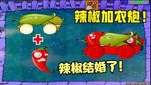 植物大战僵尸：玉米加农炮结婚了！火爆辣椒:苏醒了！猎杀时刻！