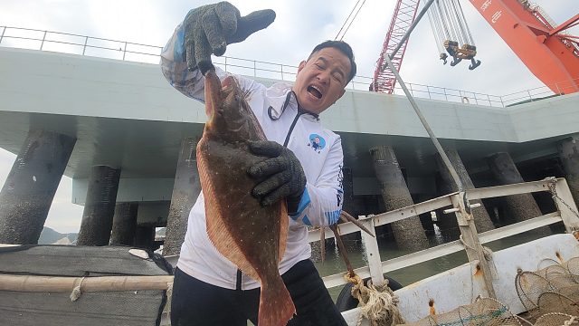 秘密海域的几十个笼子，意外捕获皇帝鱼，还有成群的大螃蟹和龙虾