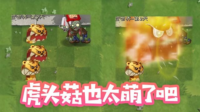 植物大战僵尸：虎头菇也太萌了吧！普通攻击比大招还花哨